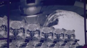 Happiness Is A Warm Gun