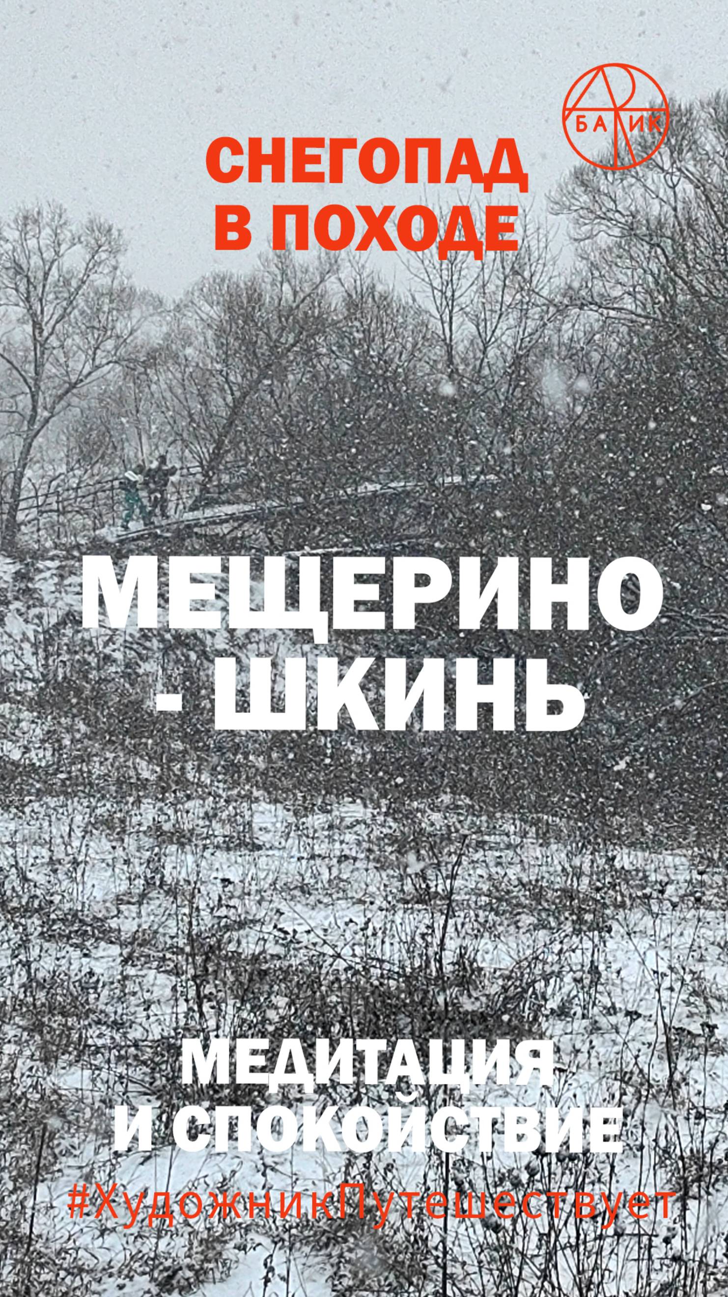 Снегопад во время зимнего похода от Мещерино до Шкини 13 км. Московская область Коломна