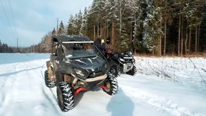 Полиция нравов Ловим нариков в лесу