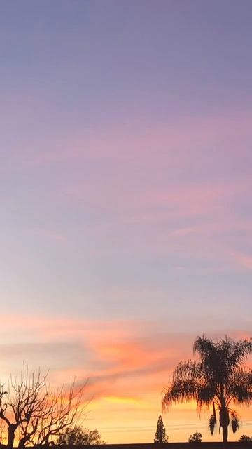 simply sunset 🤍 #shorts #sunset #simple #simplysunset #photography #dualipa #dancethenightaway смотреть онлайн