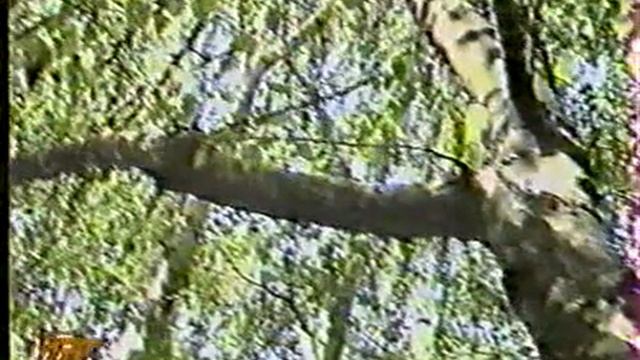 Ирлин Г.Я. с Ириной Савицкой и Александром Каменским 199-ые годы парк Тельмана