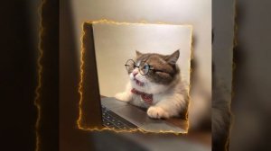 Маша и Медведи-Любочка speed up