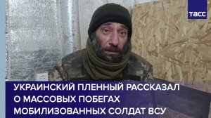 Украинский пленный рассказал о массовых побегах мобилизованных солдат ВСУ