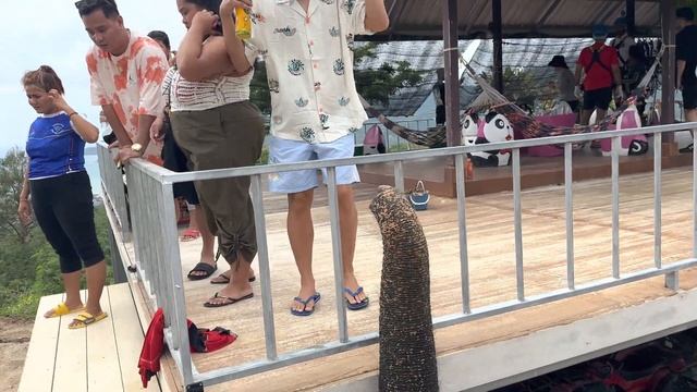 Pang Chang Kamala l Elephant Camp Phuket смотреть онлайн