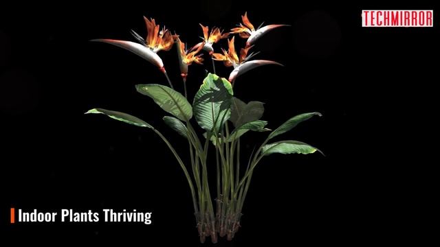 VEVOR LED Grow Light Review In 2023