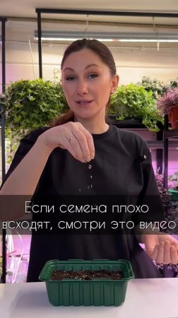 Чтобы семена хорошо и дружно всходили не допускаем самые частые ошибки.