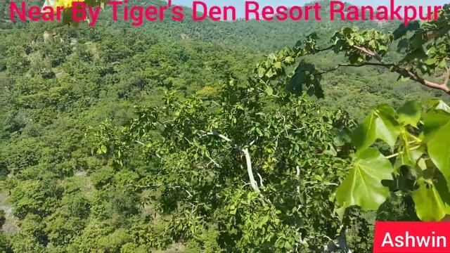 Ranakpur #ranakpur #ashwinkarmawas #rajsthan #india смотреть онлайн