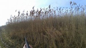 Охота на шакала №9.