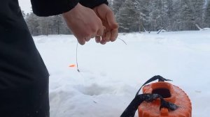 И снова "Секунда"раздаёт трофеи, таежная щука