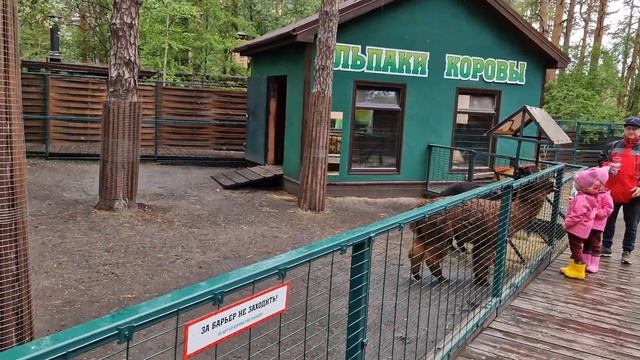 #Уктус#Екб#2024#зоопарк#май#выходные#кенгуру#сурикат смотреть онлайн