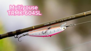 Работа бланка Multiyouse TRMK-604SL