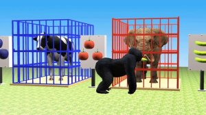 GORILLA CARTOON FOR KIDS | LEARN COLORS WITH ANIMALS (NEW!)