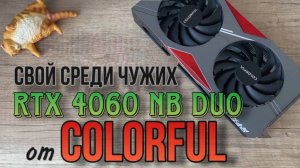 Свой среди чужих, RTX 4060 от компании ColorFul. Стоит ли покупать?