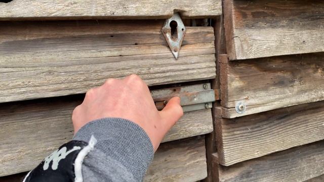 2023 Youngbirds Loft Training | Flying In Flock смотреть онлайн