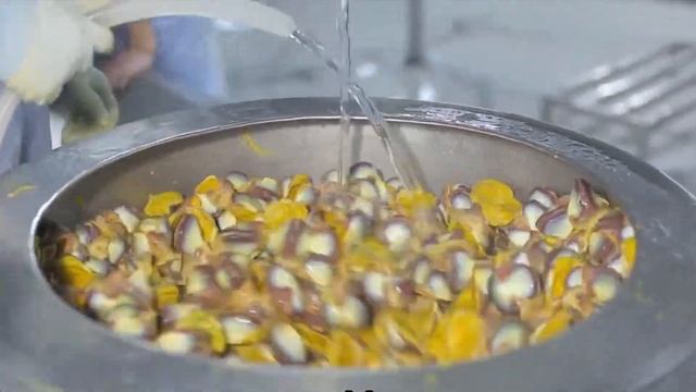 How Duck Farming make Million Eggs and meat 🦆  Duck Processing Line   Modern Poultry Farm Technolog