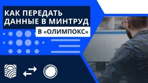 Два способа передачи данных в Минтруд в системе «ОЛИМПОКС»