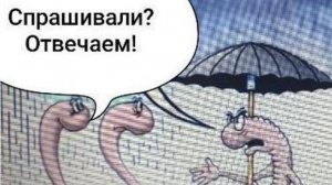 Агрессивное невежество: рецепт выживания?!