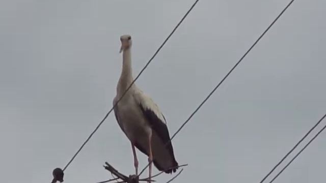 Нашел же себе место смотреть онлайн