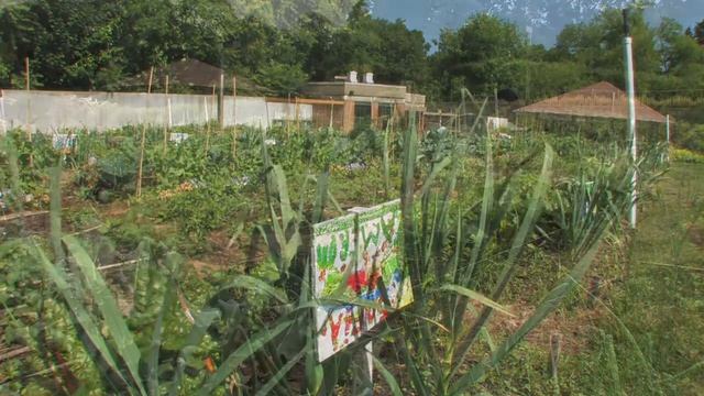 Kitchen Gardens at The Edible Garden смотреть онлайн