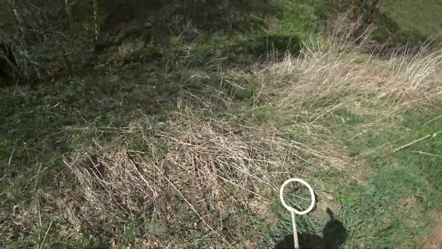 КОП МЕТАЛЛОЛОМА В ДОЛЬ ПОЛЕЙ. НАХОДКИ УДИВИЛИ МЕНЯ смотреть онлайн