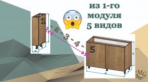 Из 1-го модуля 5 видов. Это Базис, Детка!