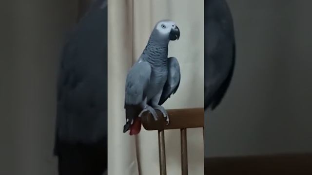 ...по вечерам...срам! думайте что хотите... смотреть онлайн