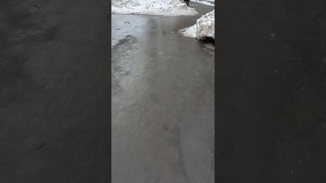 13 февраля 2025 г., 17:07:01
ул. Тимирязева
VID_20250213_170118629