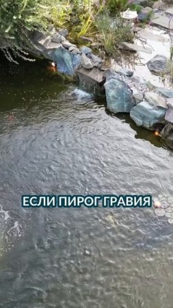 Что делать, если в вашем водоёме не фильтруется вода?