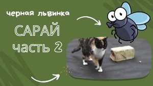 Сарай для львинки. Часть 2