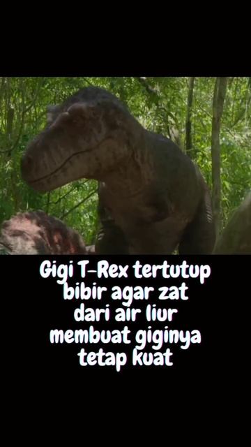 Penampakan Asli T-Rex #dinosaurus #tyrannosaurusrex #trex #shorts #penampakan #dumdeedum смотреть онлайн