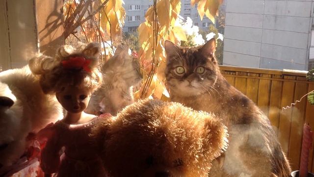 Маша и Масяня смотреть онлайн