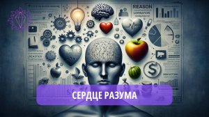 Ум, Разум, Сердце, Питание и Деньги _ Александр Жарков