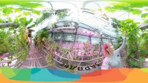 Виртуальный тур по Флорариуму в парке Зарядье в формате VR 360 8К