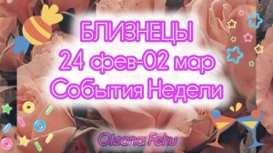 БЛИЗНЕЦЫ. Неделя 24 февраля - 02 марта.