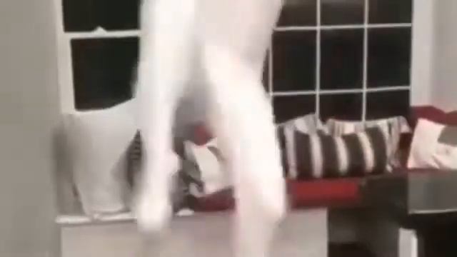 Video Punch. Мистер Пропер (Флекс) смотреть онлайн