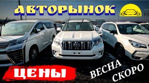 АВТОРЫНОК ЦЕНЫ ВЕСНА СКОРО