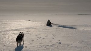 Лёд - Роман Харланов