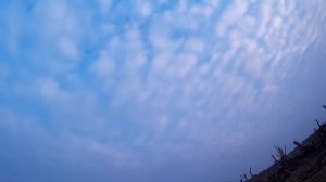 Охота на Гуся