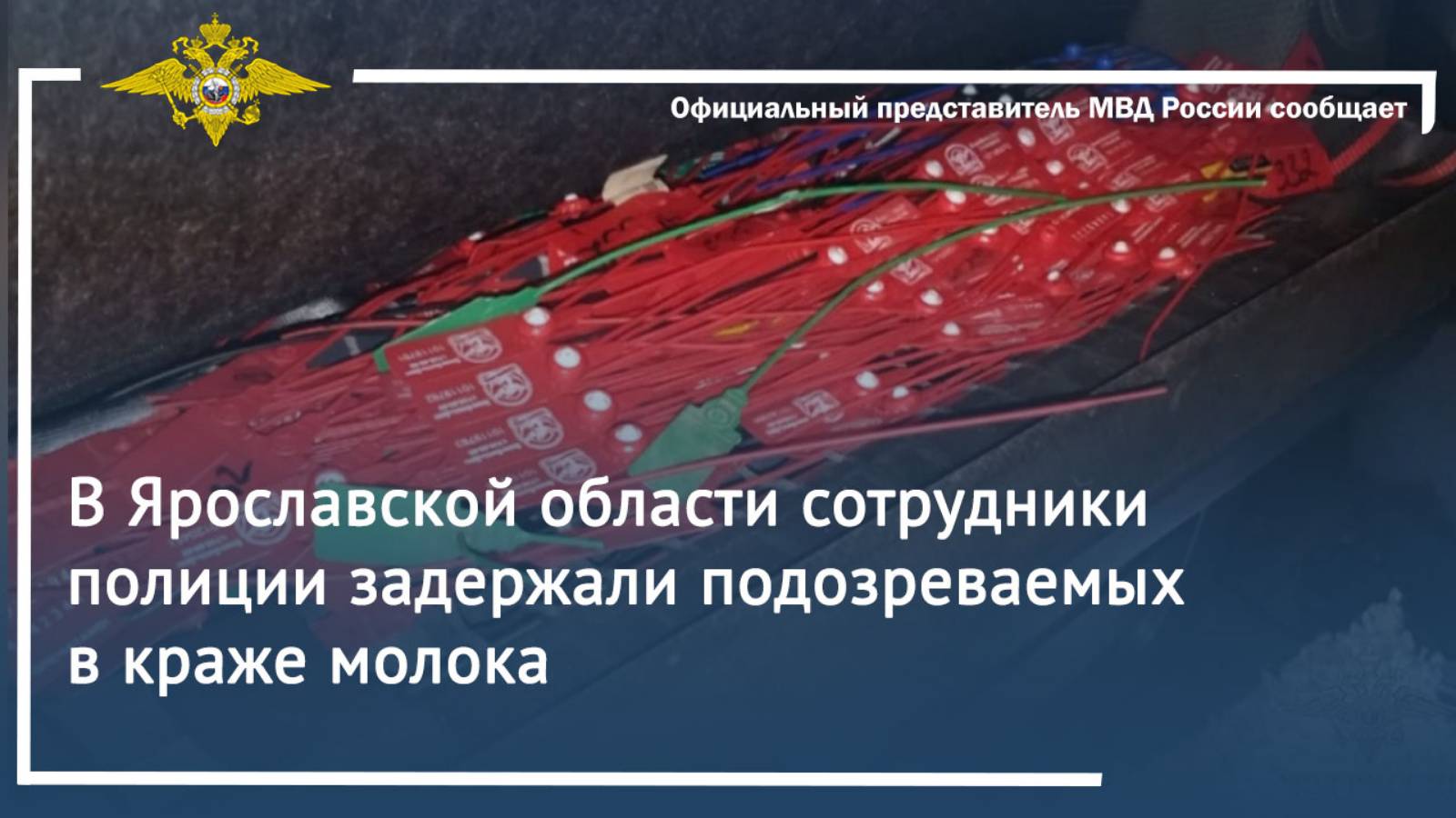 В Ярославской области сотрудники полиции задержали подозреваемых в краже молока