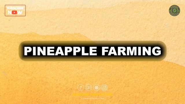 Most Profitable Exotic Fruit Farming Business Ideas | Agriculture Business Planning