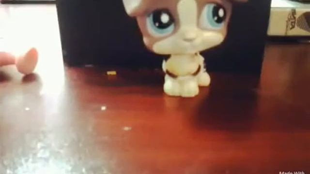 Lps:vlog экскурссия по сьемочной площадке смотреть онлайн