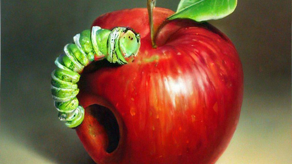 Цвета и Цифры - книжка для самых маленьких