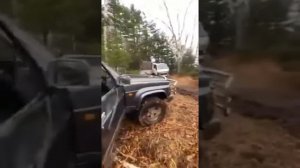 Медведь разорвал джипы