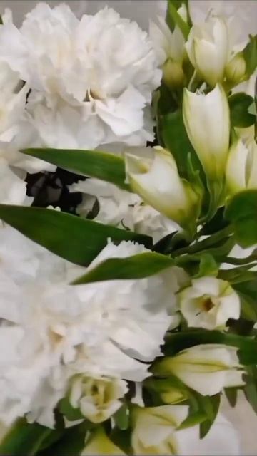 Позвони....#маминдень  #жизнь #юмор #приколы #цветы #shortvideo #shorts