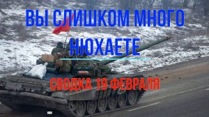 Вы слишком много нюхаете, сводка 19 февраля