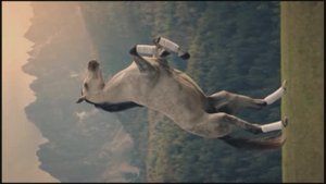 Roger Taylor - Pressure On для телефона видеозалипалка _17