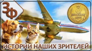 186 Родильный дом находился на месте старого кладбища | Истории
