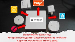 Zigbee Matter Шлюз  который прокидывает Zigbee устройства по Matter в другие системы Умного дома.