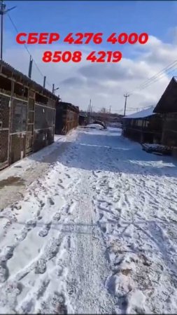 Снегом не накормишь!