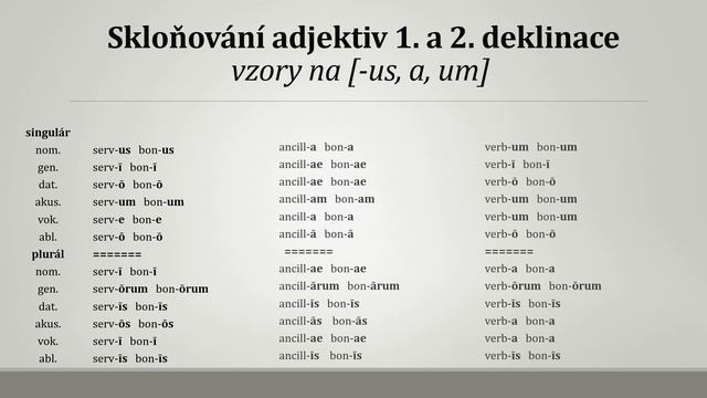 Adjektiva 1. a 2. deklinace [komentováno] смотреть онлайн